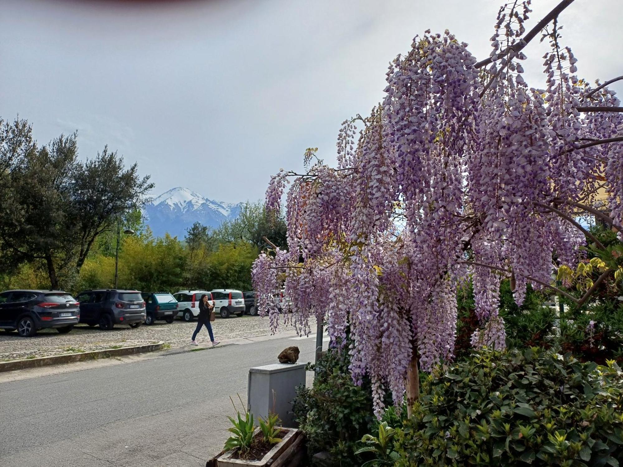 Agriturismo San Giovanni Ad Insulam Isola del Gran Sasso dʼItalia Exterior foto